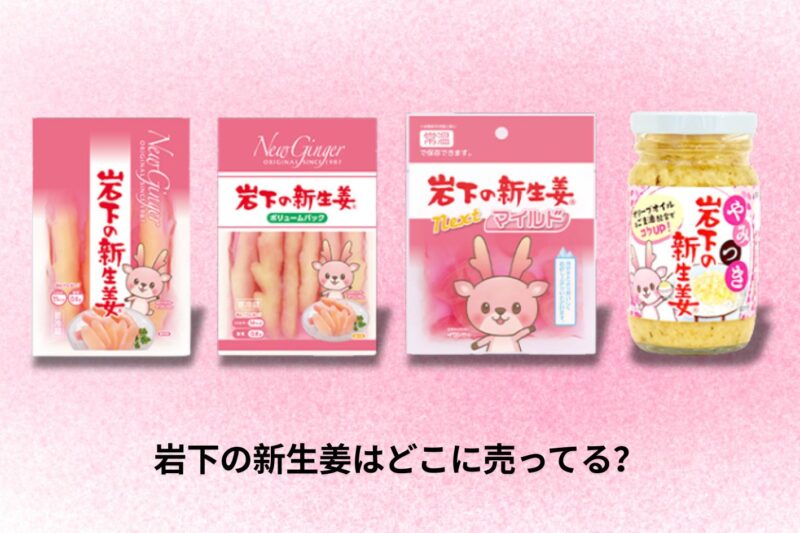 岩下の新生姜はどこに売ってる？購入場所と入手方法ガイド