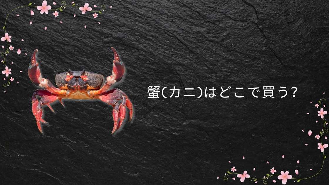 蟹(カニ)はどこで買う？スーパーや市場・コストコや通販など販売店を調査！！
