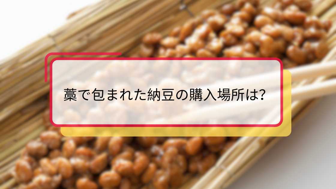 わら納豆はどこで買えますか?
