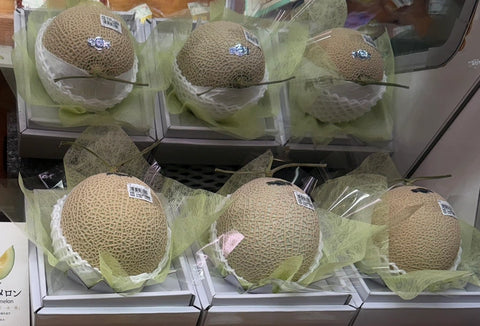 マスクメロンはどこで売ってる?売ってる場所(販売店)は?