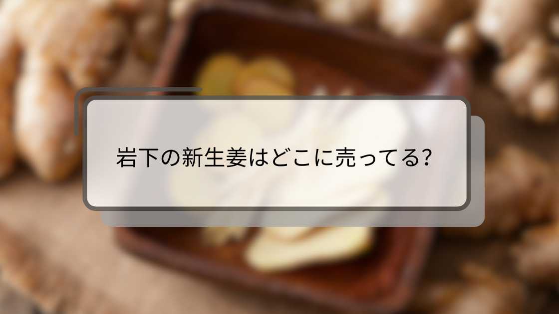 岩下の新生姜はどこに売ってる?購入場所と入手方法ガイド