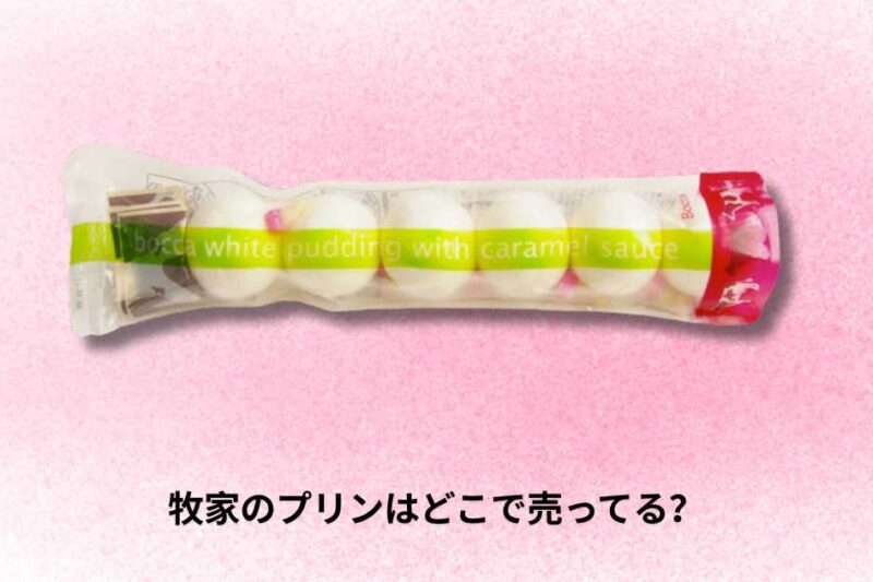 牧家のプリンはどこで売ってる？販売店舗と購入方法ガイド