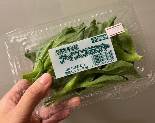 アイスプラント - パック売りの価格