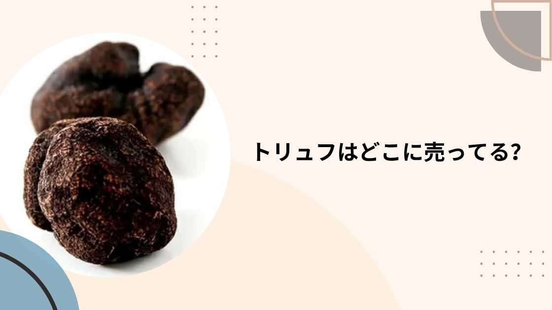 トリュフはどこに売ってる?カルディや成城石井・コストコやスーパー等どこで買う?