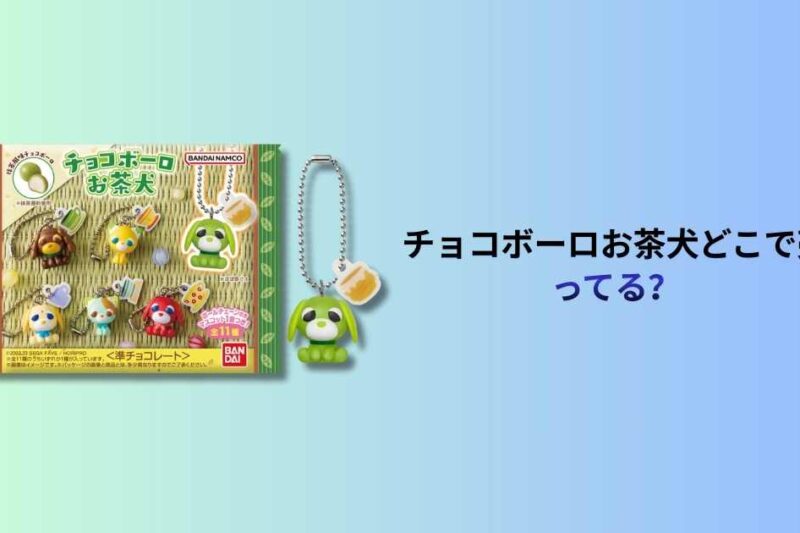 チョコボーロお茶犬どこで売ってる？販売店と購入方法を徹底解説