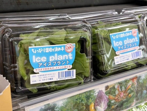 オフシーズンの入手方法