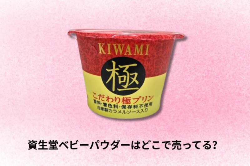 極プリンはどこで売ってる？購入場所と現在の販売状況【2026年版】