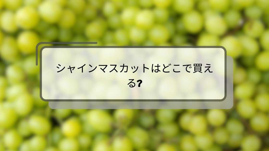 シャインマスカットはどこで買える?スーパー(イオン等)やコストコ・コンビニや伊勢丹等売ってる場所は?