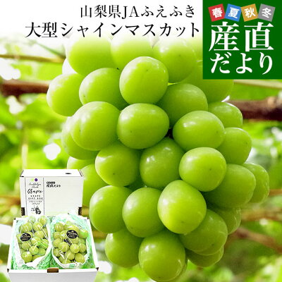 Grape154