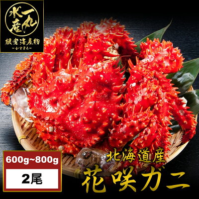 Imgrc0100470444
