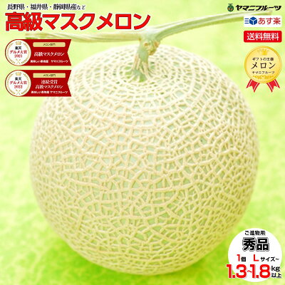 Melon musk syuhin 1tama main