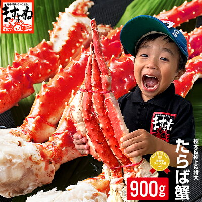 Tb900 kago